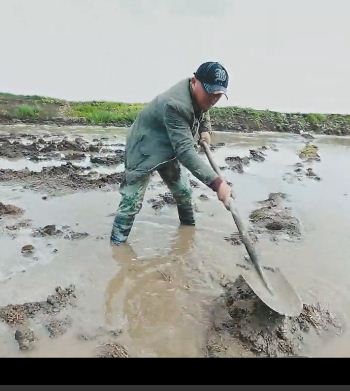 《稻之道》第四集：稻之味